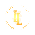 logo lille lomme metropole handball docforsport
