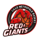 logo lille métropole basket docforsport